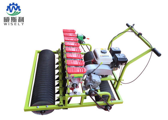 Chiny Silnik benzynowy 8 rzędów Green Salad Plantator Machines Used In Agriculture dostawca