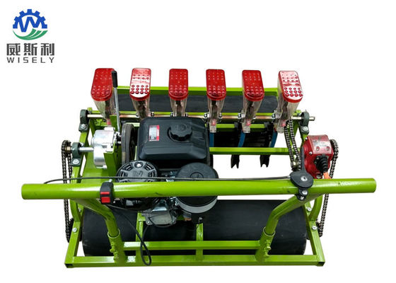 Chiny Wysokowydajna maszyna do sadzenia sałaty / sprzęt do sadzenia w gospodarstwie 6 Rzędy dostawca
